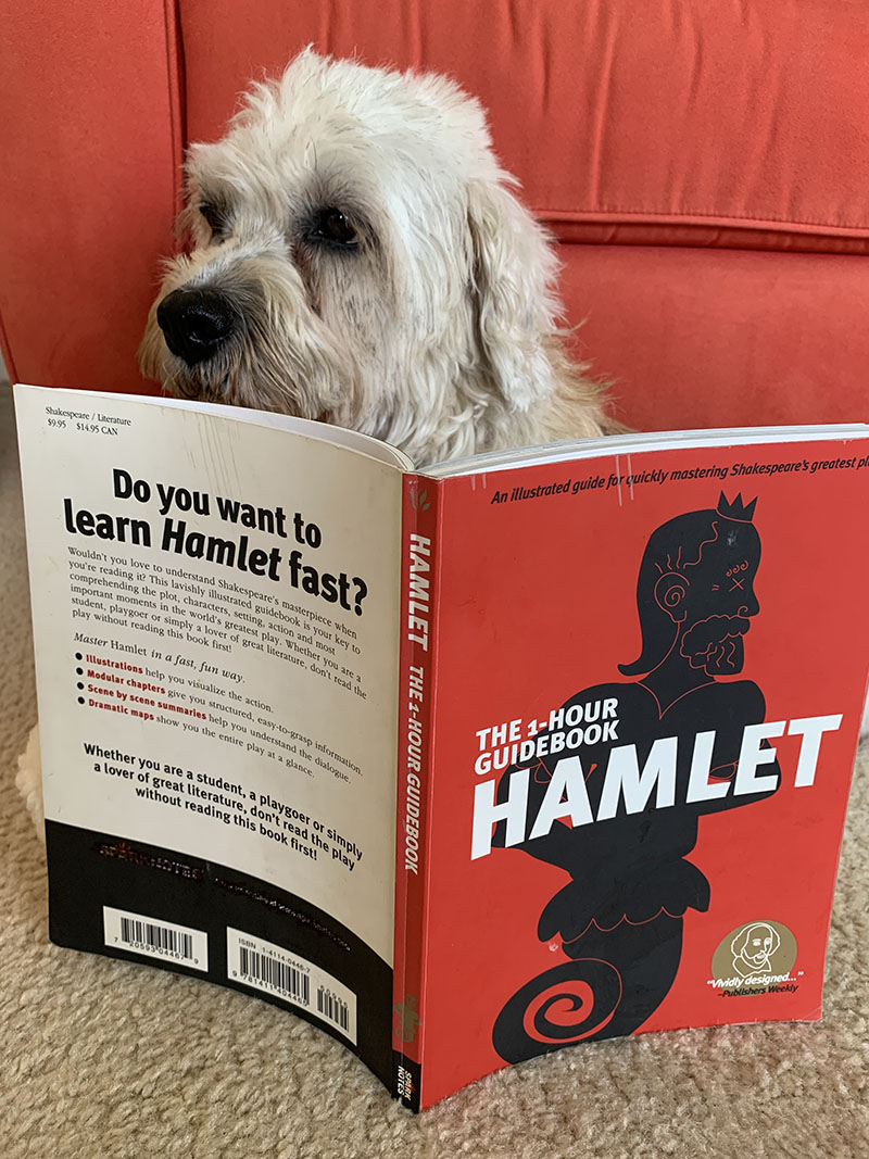 Pink reading the 1 Hr. Hamlet